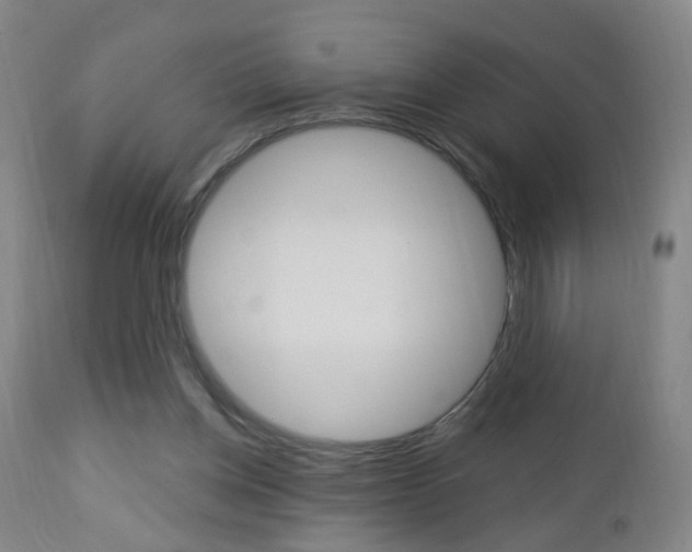 X0000113130158200909040942