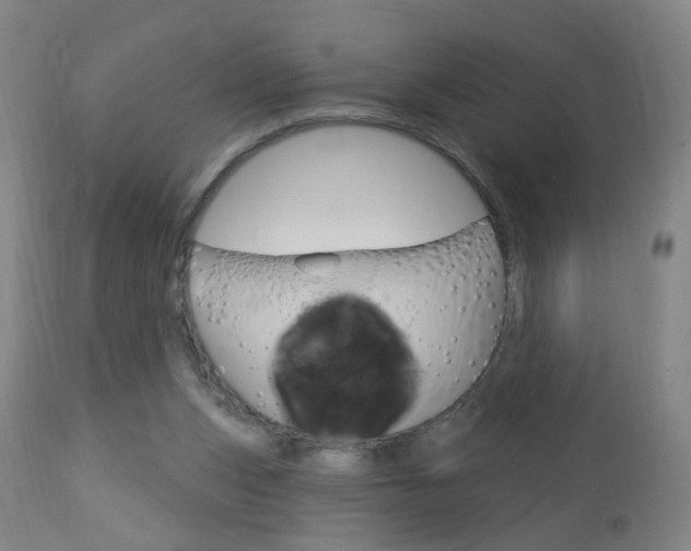 X0000113130159200909040942