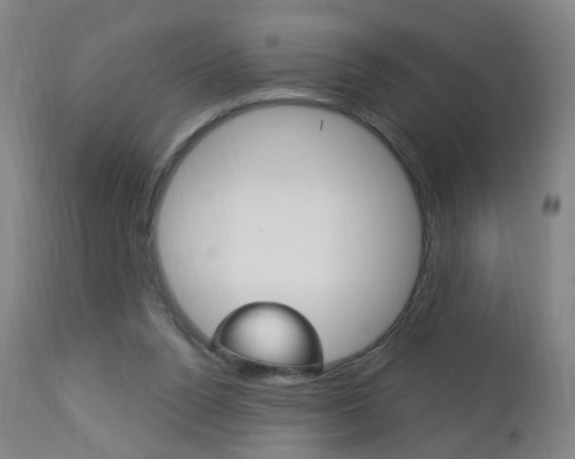 X0000113130160200909040942