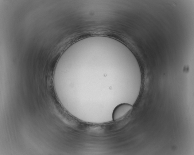 X0000113130161200909040942