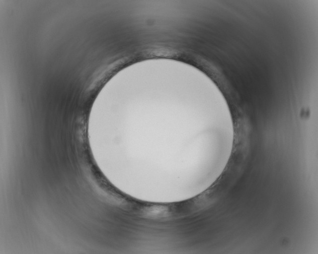 X0000113130162200909040942