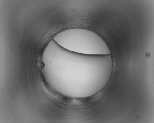 X0000113130166200909040942