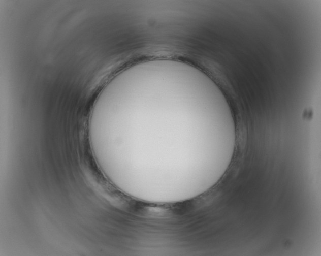 X0000113130167200909040942