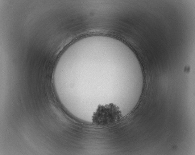 X0000113130168200909040942