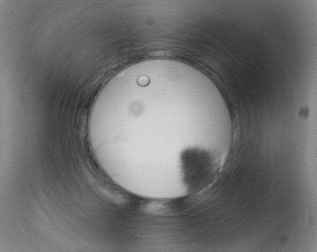 X0000113130171200909040942