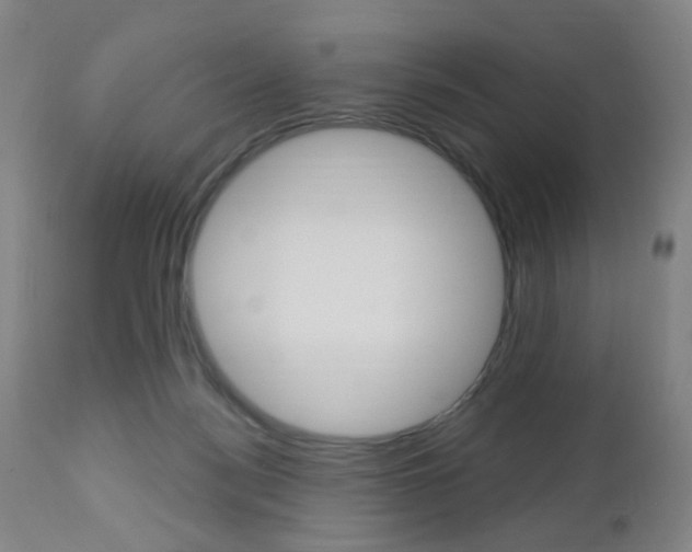 X0000113130172200909040942