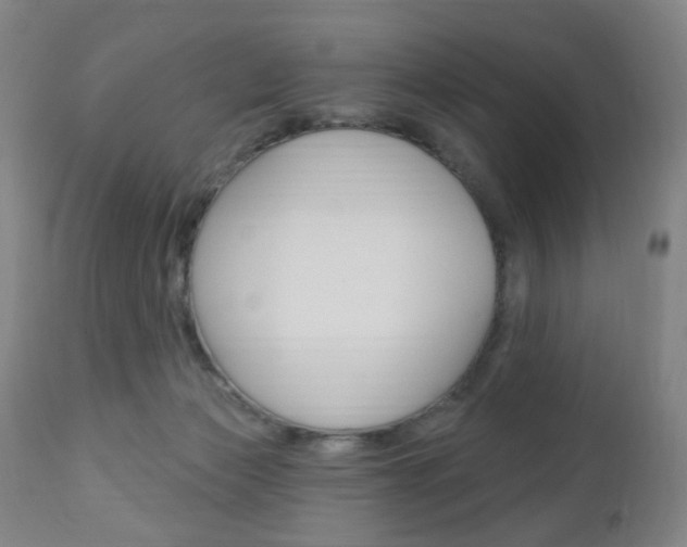 X0000113130173200909040942