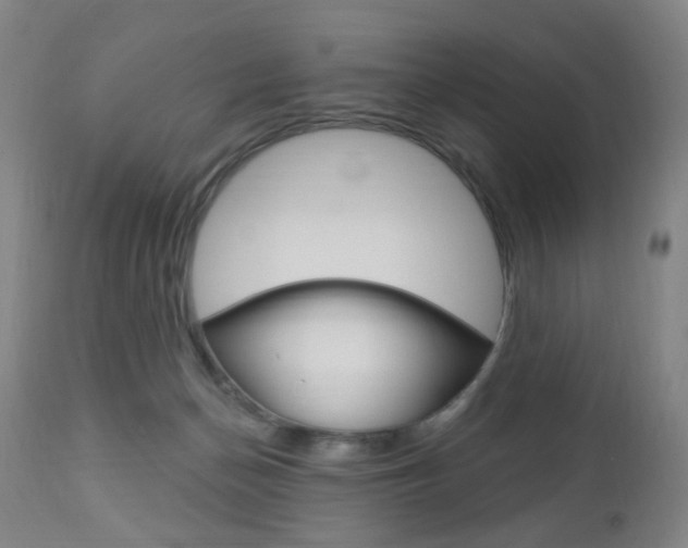 X0000113130174200909040942
