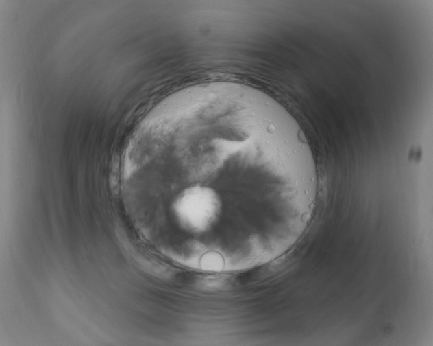 X0000113130175200909040942