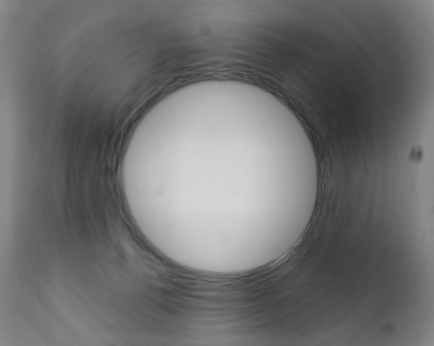 X0000113130176200909040942