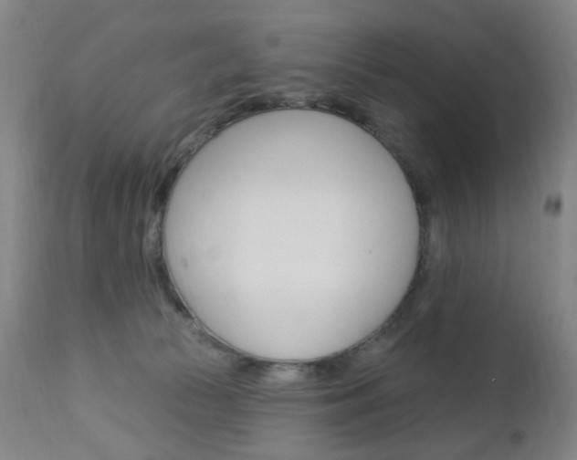 X0000113130177200909040942