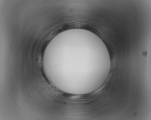 X0000113130178200909040942