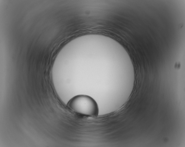 X0000113130180200909040942