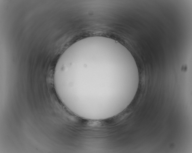 X0000113130181200909040942