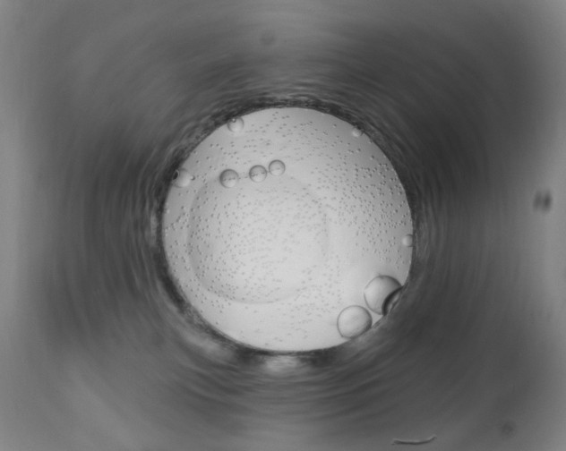 X0000113130183200909040942