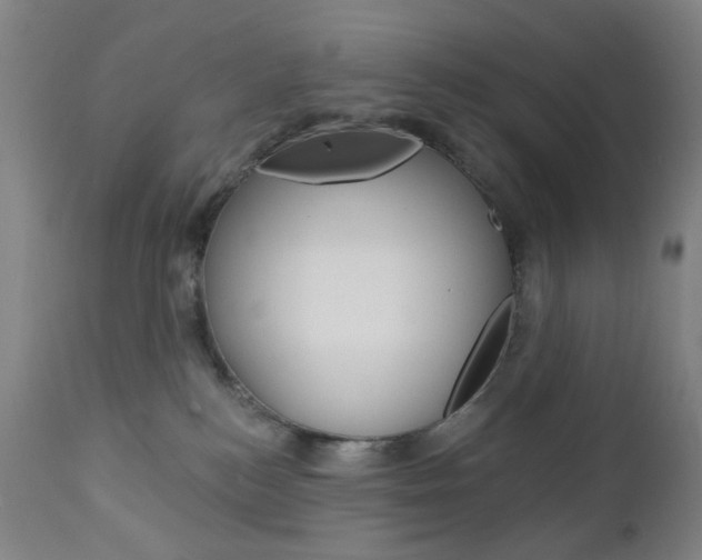 X0000113130184200909040942