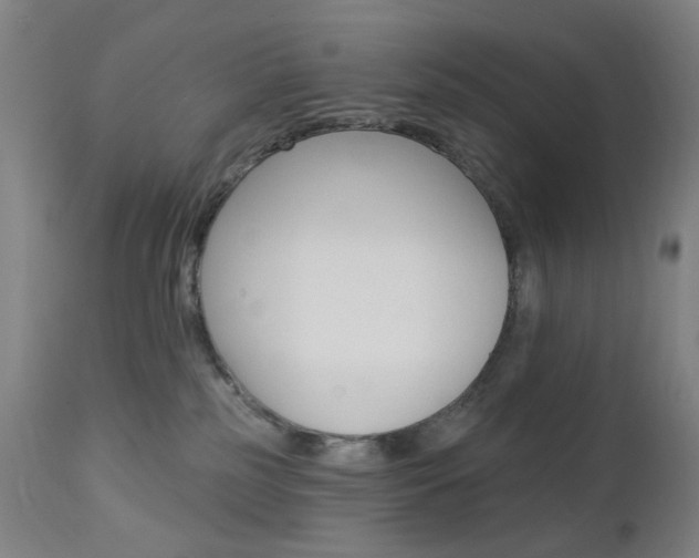 X0000113130185200909040942