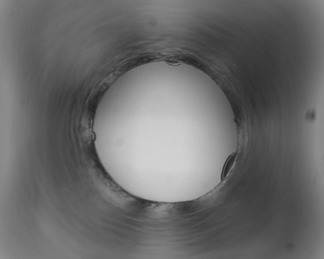 X0000113130186200909040942