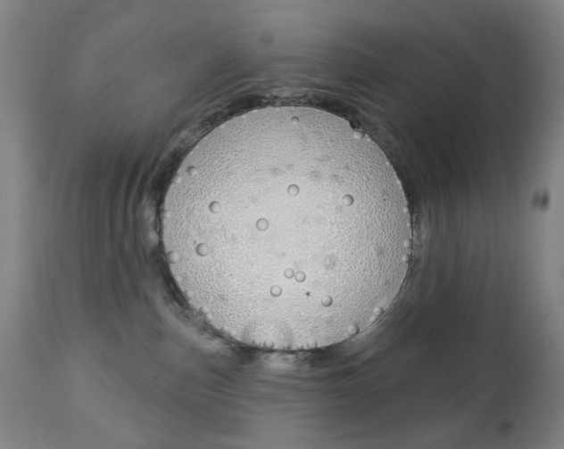 X0000113130187200909040942
