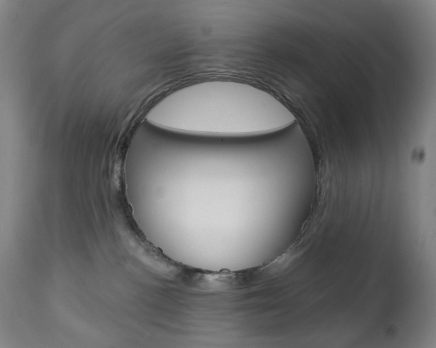 X0000113130188200909040942