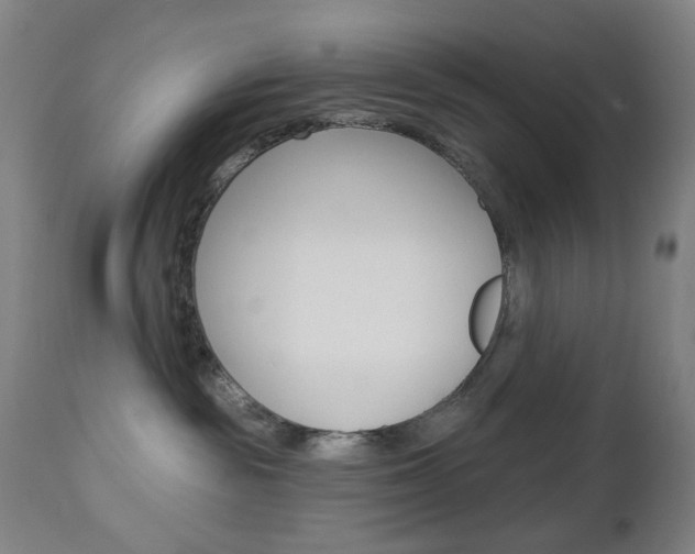 X0000113130189200909040942