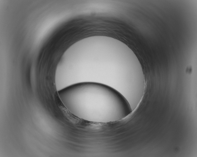 X0000113130190200909040942