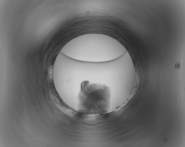 X0000113130191200909040942