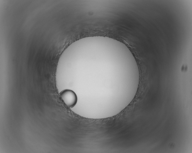 X0000113130192200909040942