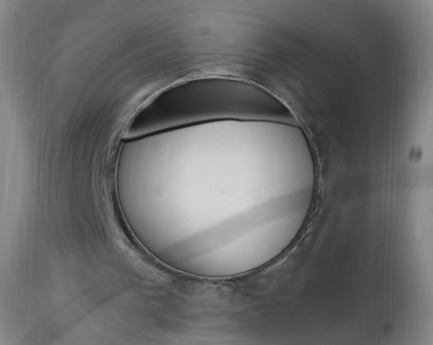 X0000113130193200909040942