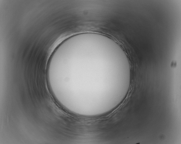 X0000113130195200909040942