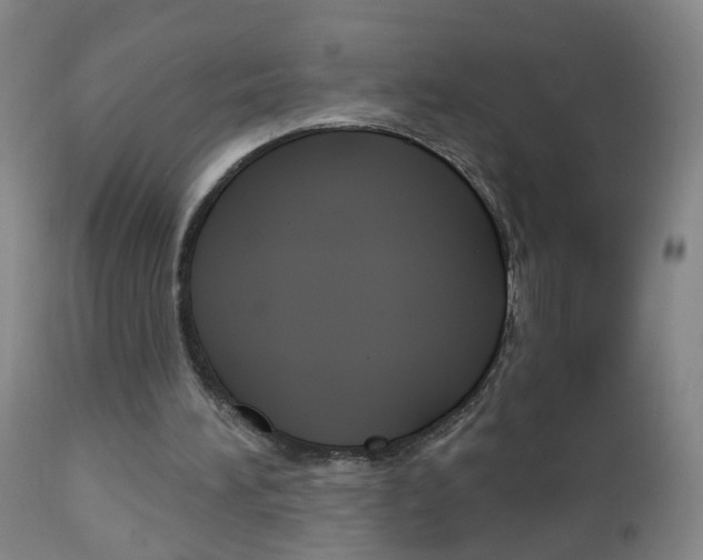 X0000113130196200909040942