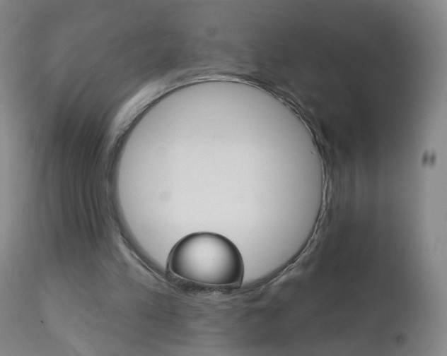 X0000113130197200909040942