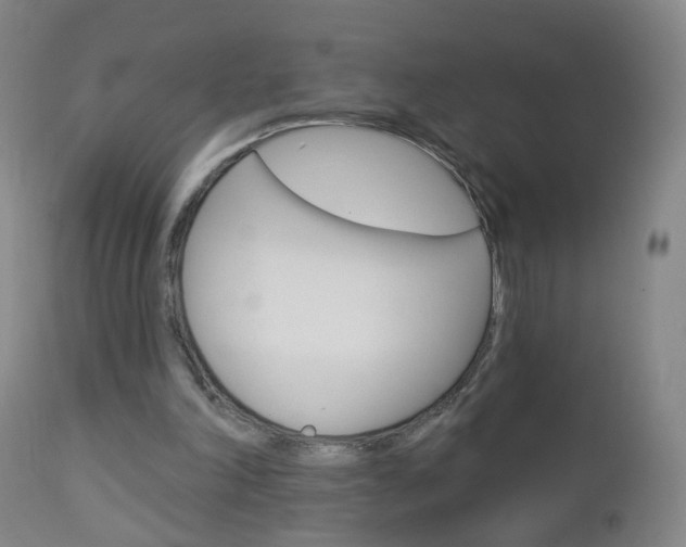 X0000113130198200909040942