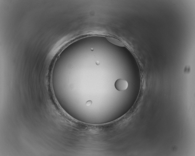 X0000113130199200909040942