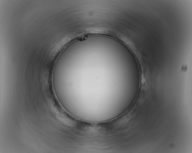 X0000113130201200909040942