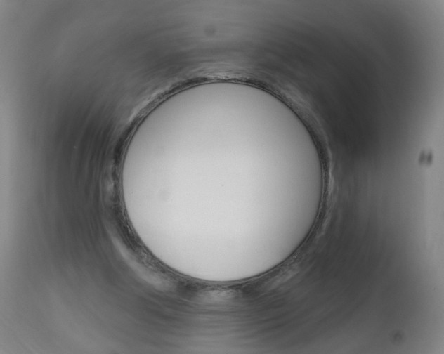 X0000113130202200909040942