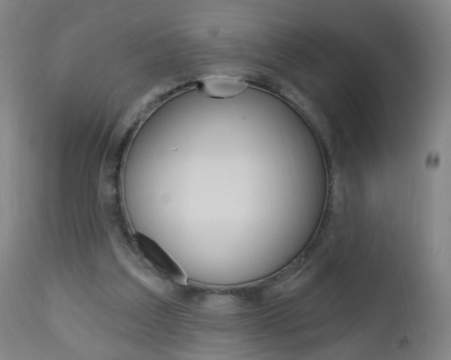 X0000113130203200909040942