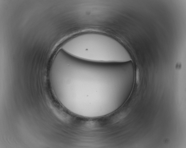 X0000113130204200909040941