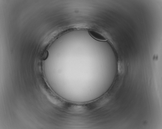 X0000113130205200909040941