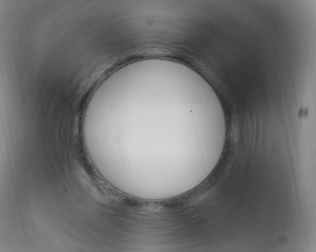 X0000113130206200909040941