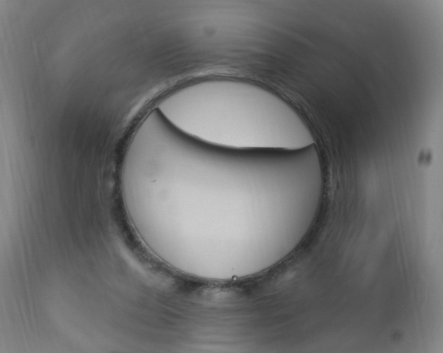 X0000113130208200909040941