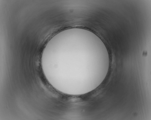 X0000113130210200909040941