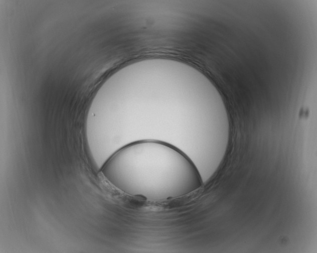 X0000113130211200909040941