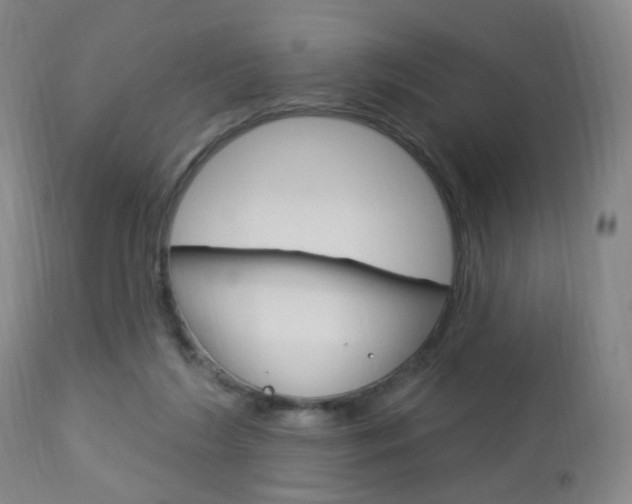 X0000113130212200909040941