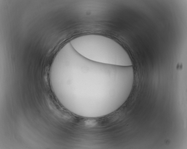 X0000113130214200909040941