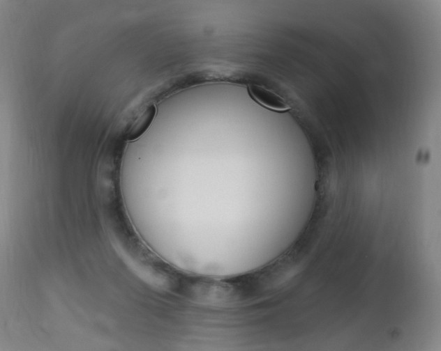 X0000113130215200909040941