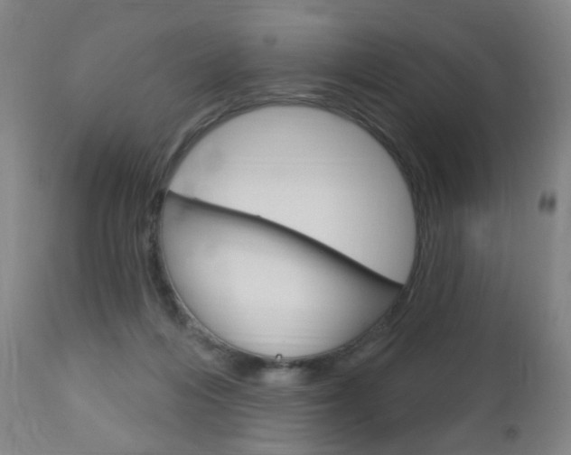 X0000113130216200909040941