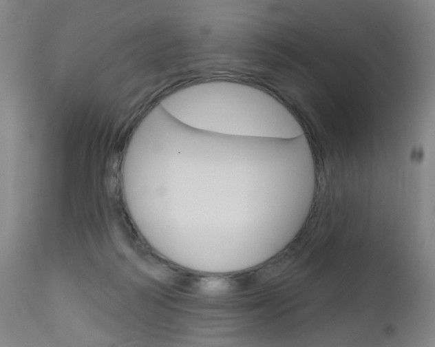X0000113130218200909040941