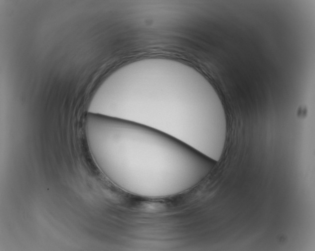 X0000113130220200909040941