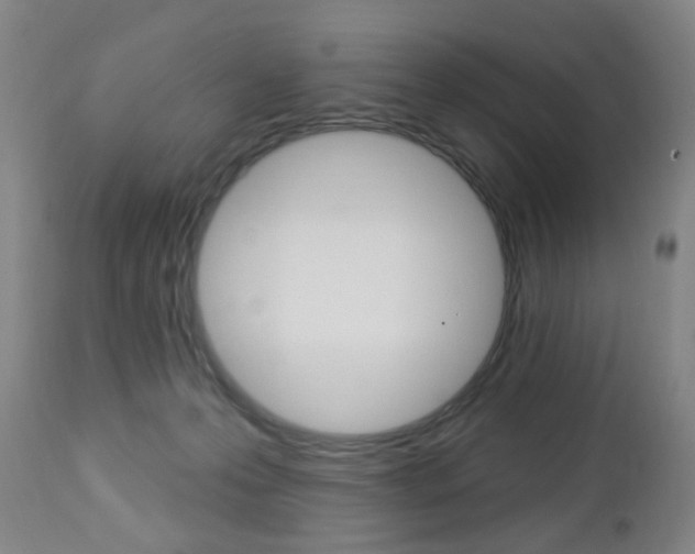 X0000113130223200909040941